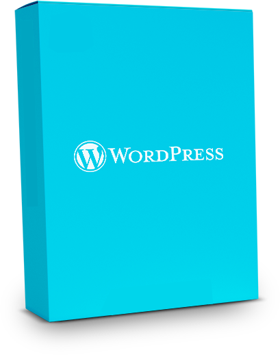 manual wordpress