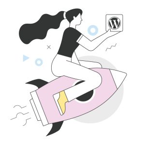 Los mejores plugins para optimizar WordPress