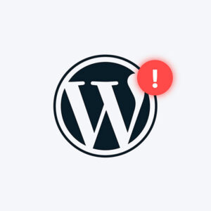 Wordpress error